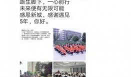 新城最新爆料事件始末,真相与反转的曲折历程