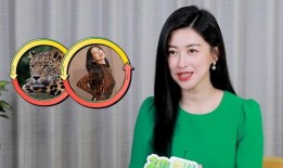 刘晶开播爆料了吗视频,爆料视频背后的真相与内幕